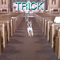 People - Alex G