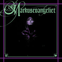 Stjärnfallet - Markus Krunegård