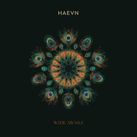 Promise - HAEVN