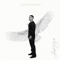 TOY HERMOSO - Daddy Yankee