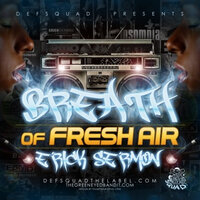 What Happened - Erick Sermon
