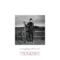 Dreams - Tingsek