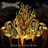 Insane - Coffins