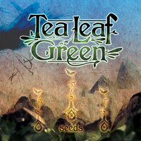 California - Tea Leaf Green