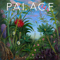 No Other - Palace