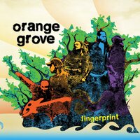 Stressing - Orange Grove