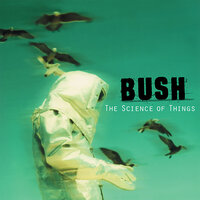 Warm Machine - Bush