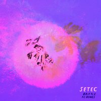 Tiny Seed, a Leaf, a Tree - Setec