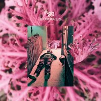Buffalo - Toro Y Moi
