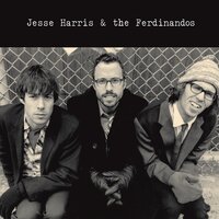 There's Nothing I Can Do - Jesse Harris