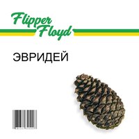 ЭВРИДЕЙ - Flipper Floyd
