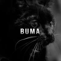 Buma - Zate