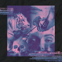 New Sensations - Sunsleep