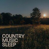 In It - Jake Owen