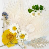NAKED - Taeyang