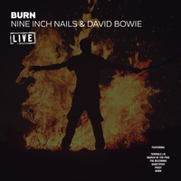 We Prick You - Nine Inch Nails, David Bowie