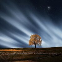 Relaxation - Study Alpha Waves, Spa & Spa, Sleep Baby Sleep, Study Alpha Waves, Spa & Spa