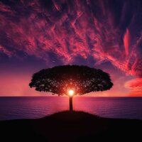 Relaxation - Sleep Music, Asian Zen Meditation, Deep Sleep Relaxation