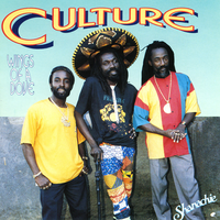 Campyard - Culture