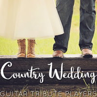 I Loved Her First - Guitar Tribute Players