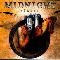 Cat Song - Midnight