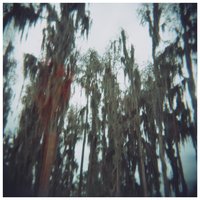 Coldest Night - The Lulls in Traffic