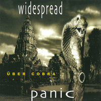 Papa Johnny Road - Widespread Panic
