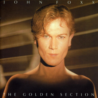 Like a Miracle - John Foxx