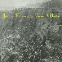 A Perfect Lie - Jerry Harrison