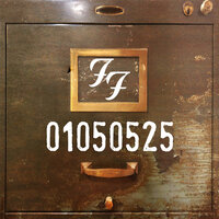 Skin And Bones - Foo Fighters