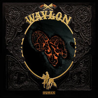 Everything About You - Waylon