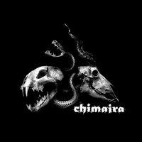 Nothing Remains - Chimaira
