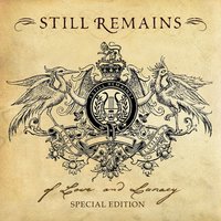 Kelsey - Still Remains