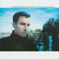 Satisfied - Andrew Bird