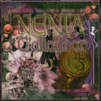 Schwarzer Spiegel - Nenia C'Alladhan