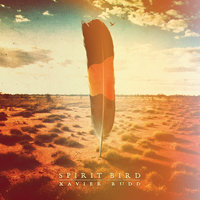 Bow Down - Xavier Rudd
