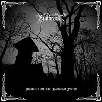 Immerse into Cold Mist - Evilfeast