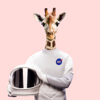 AOP - More Giraffes