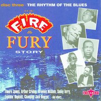 Shake Your Moneymaker - Original - Elmore James