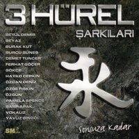 Ağlarsa Anam Ağlar - Hayko Cepkin