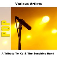 Please Don't Go - Sound-A-Like - Studio Group
