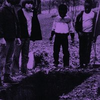 Mirrors - Crocodiles