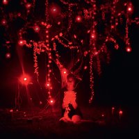 Holy Hells - Sophie Hunger