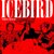 Icebird